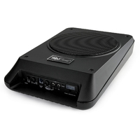 Subwoofer System, amplified 100 watt with remote level control
