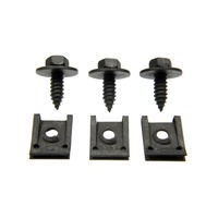 Corvette Screw Set, coolant recovery tank mounting