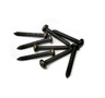 1990 - 1995 Taillamp Lens Mounting Screw Set (ZR1 Option)