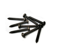 Corvette Taillamp Lens Mounting Screw Set