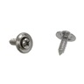 1975 - 1982 Screw, pair rear license plate lamp