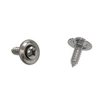 Corvette Screw, pair rear license plate lamp