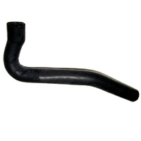 1976L - 1982 Hose, lower radiator (replacement)