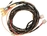 Thumbnail of Wiring Harness, power convertible softtop main