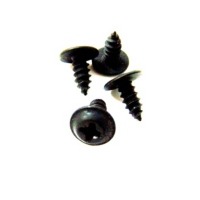 1986L - 1988 Forward Roof Latch Cover Screw Set, Coupe