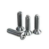 Corvette Screw Set, sunvisor support rods to windshield frame