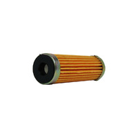 1976 - 1981 Fuel Filter, in carburetor