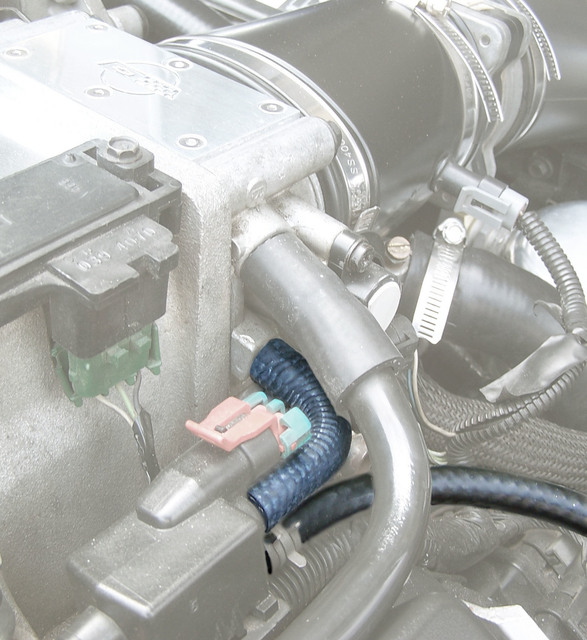 95 LT1 Fuel Vapor Canister & Purge Solenoid to Throttle Body Vacuum Hose  delete? - CorvetteForum - Chevrolet Corvette Forum Discussion